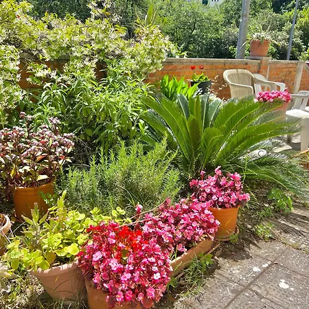 Ca Del Sole - Free Parking * La Spezia