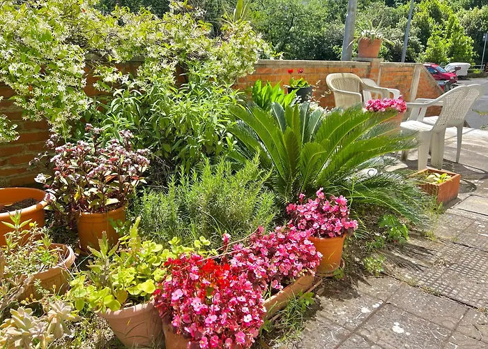 Ca Del Sole - Free Parking * La Spezia